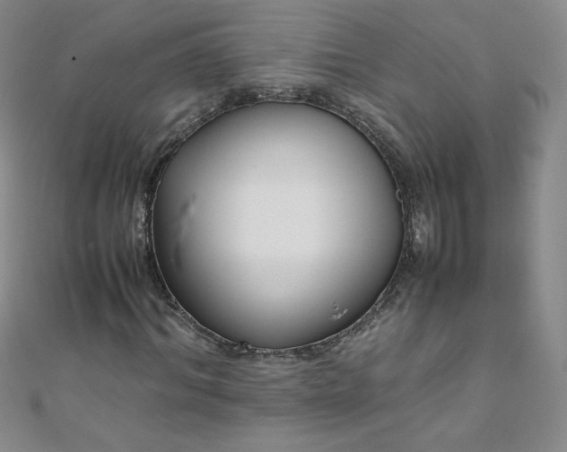 X0000108480964200904171607