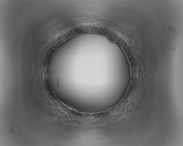 X0000108480965200904171607
