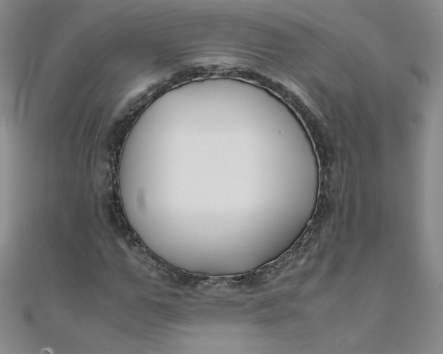 X0000108480967200904171607