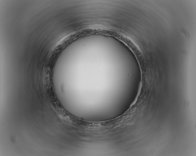 X0000108480968200904171607