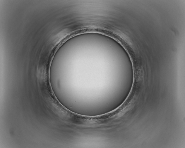 X0000108480969200904171607