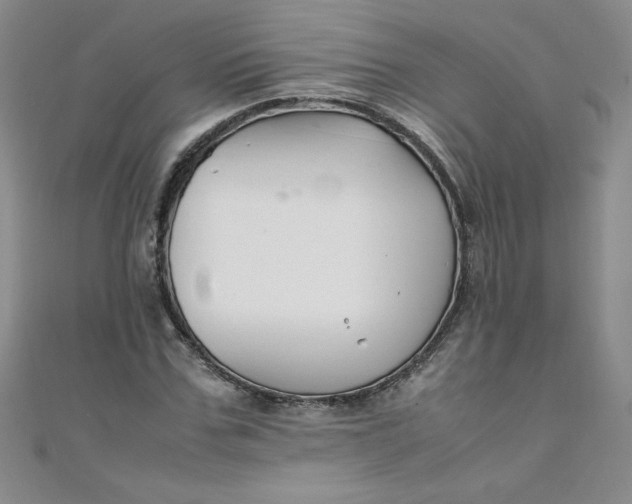 X0000108480971200904171607