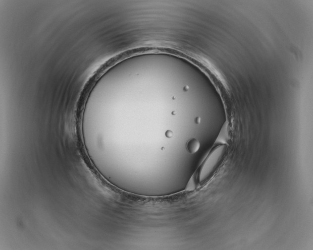 X0000108480972200904171607