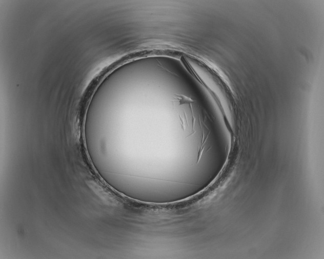 X0000108480973200904171607