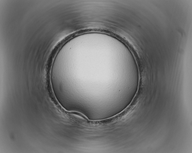 X0000108480975200904171607