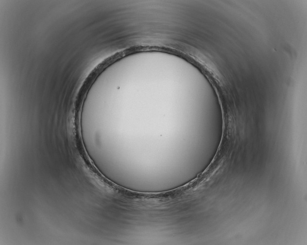 X0000108480976200904171607