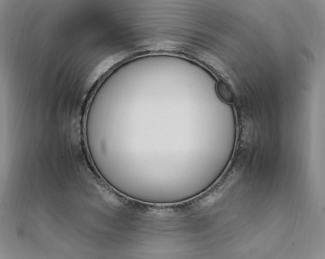 X0000108480978200904171607