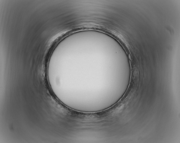 X0000108480979200904171607
