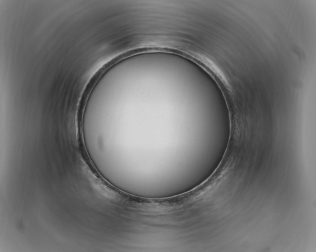 X0000108480980200904171607