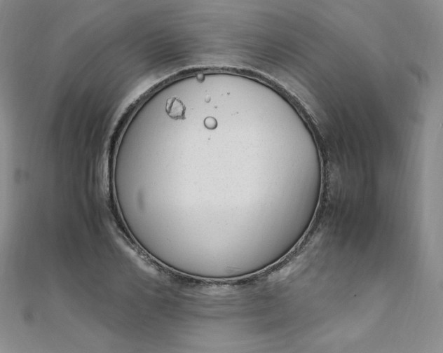 X0000108480982200904171607