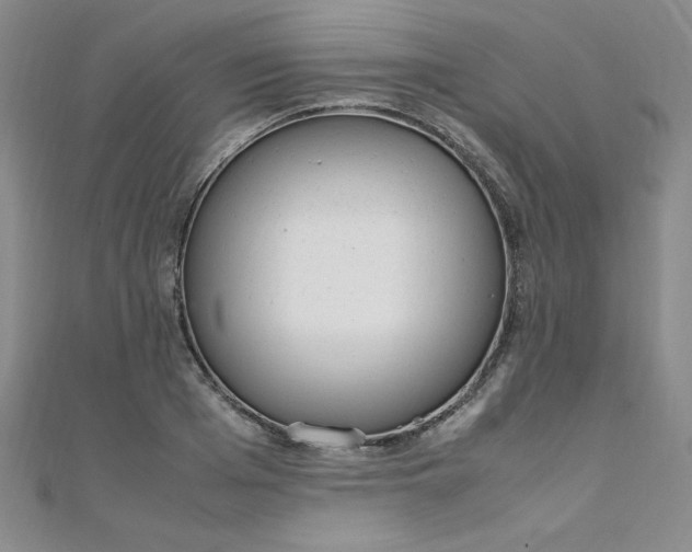 X0000108480985200904171607