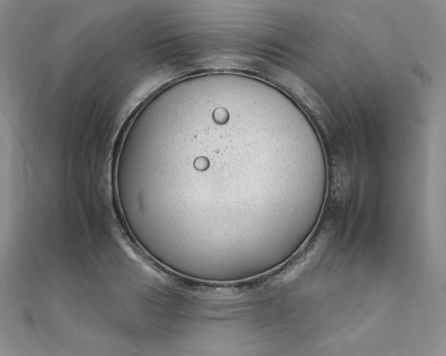 X0000108480986200904171607