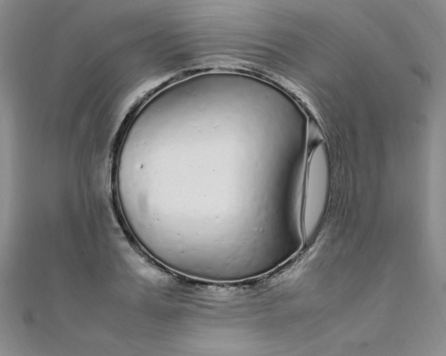 X0000108480987200904171607