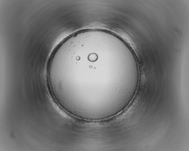 X0000108480990200904171607