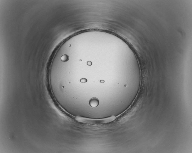 X0000108480991200904171607