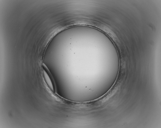 X0000108480993200904171607