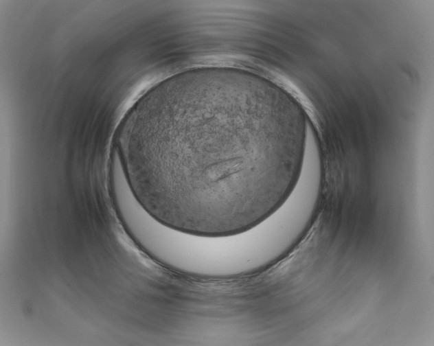 X0000108480994200904171607