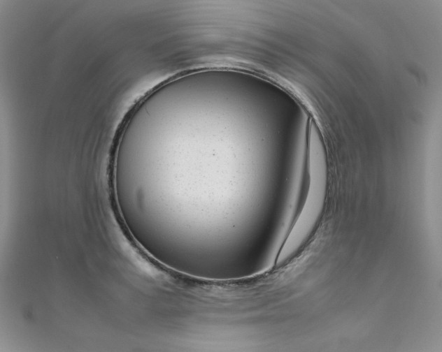 X0000108480995200904171607