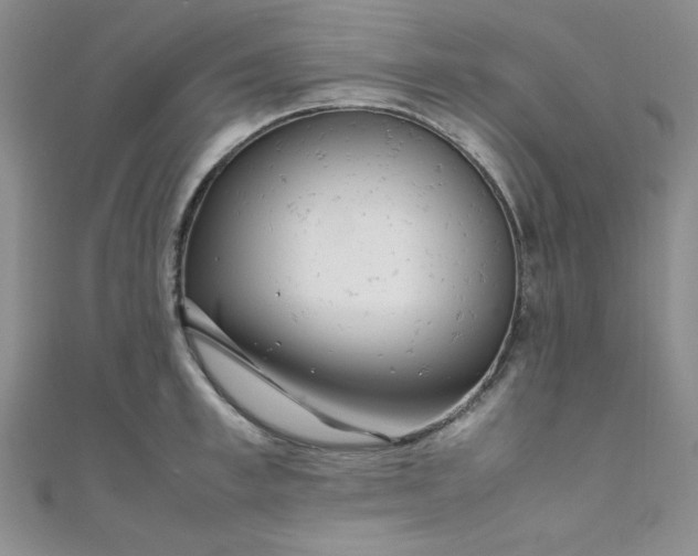 X0000108480997200904171607
