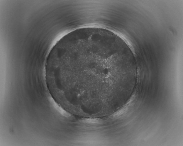 X0000108480998200904171607