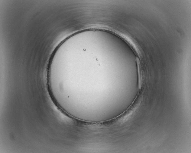 X0000108480999200904171607
