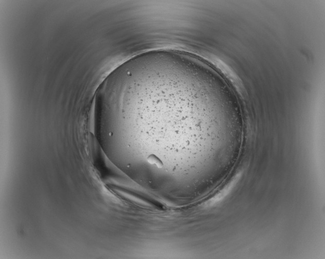 X0000108481001200904171607