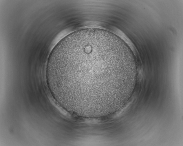 X0000108481002200904171607