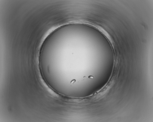 X0000108481005200904171607