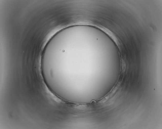 X0000108481006200904171607