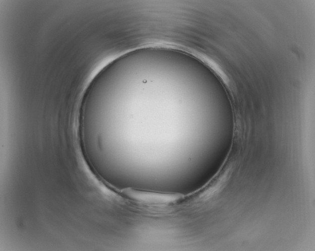 X0000108481007200904171607