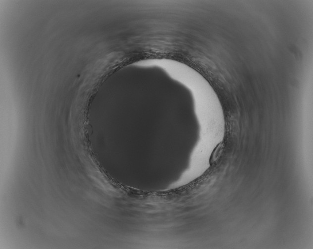 X0000108481009200904171606