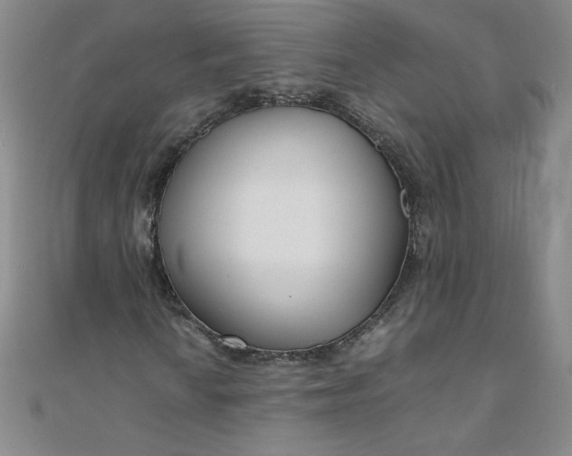 X0000108481010200904171606