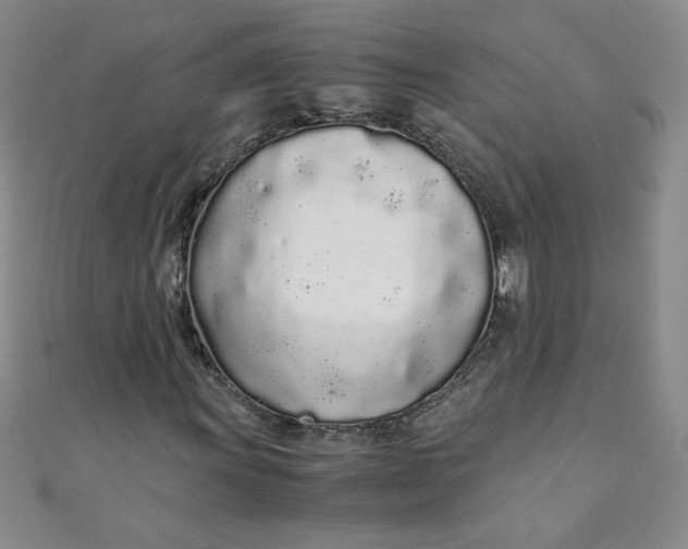 X0000108481011200904171606