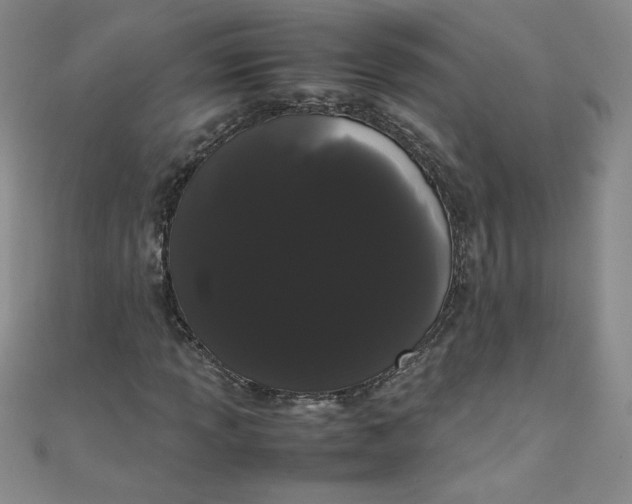 X0000108481013200904171606
