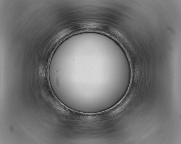 X0000108481017200904171606