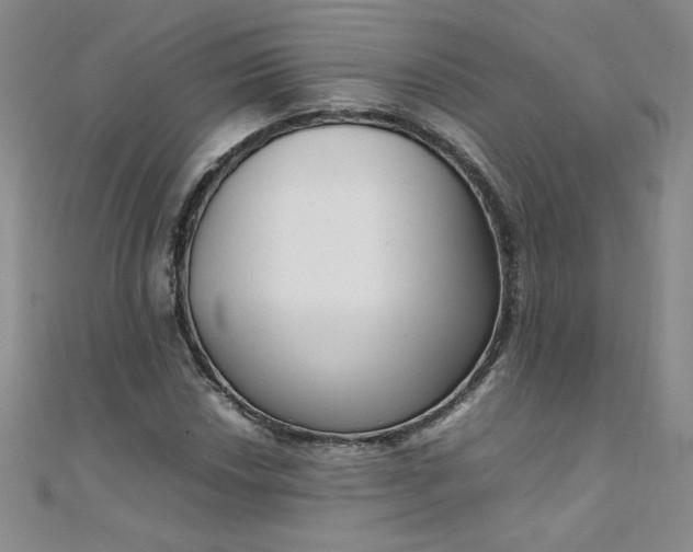 X0000108481018200904171606