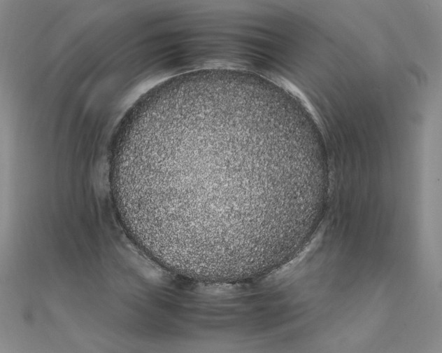 X0000108481019200904171606