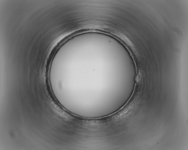 X0000108481020200904171606