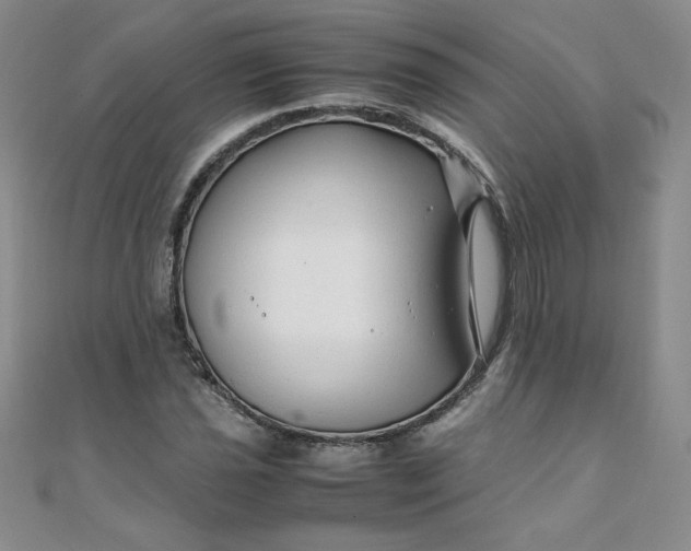 X0000108481021200904171606