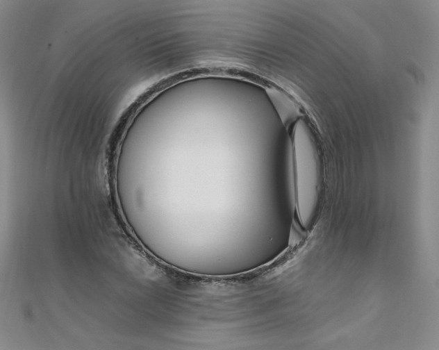 X0000108481022200904171606