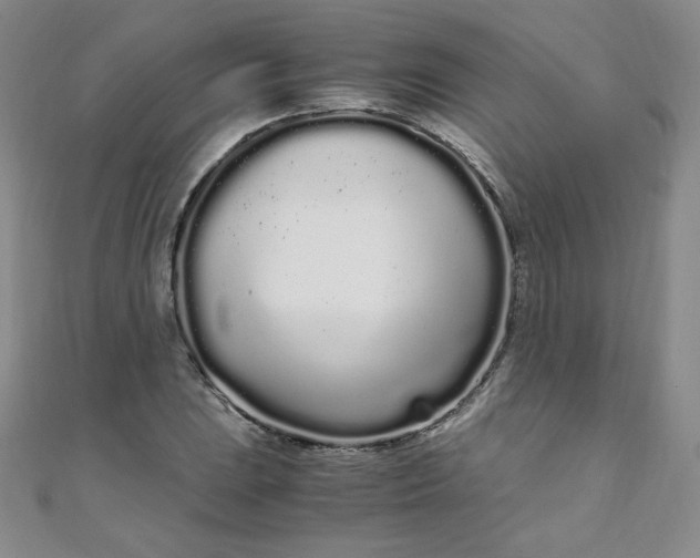 X0000108481023200904171606