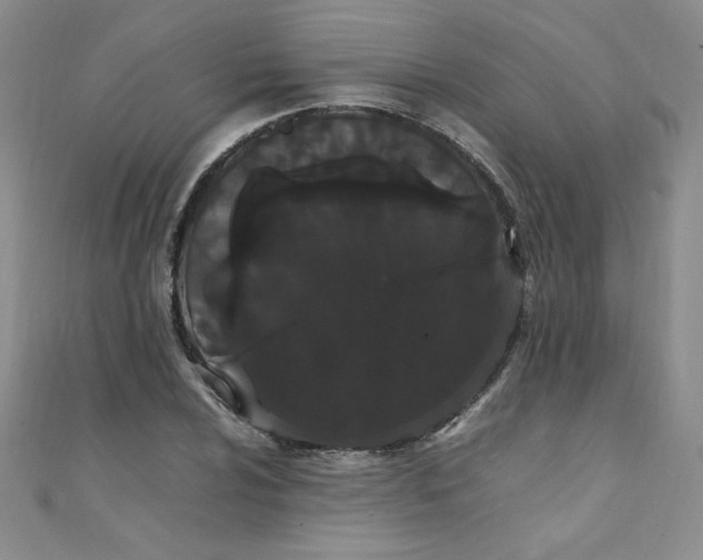 X0000108481024200904171606