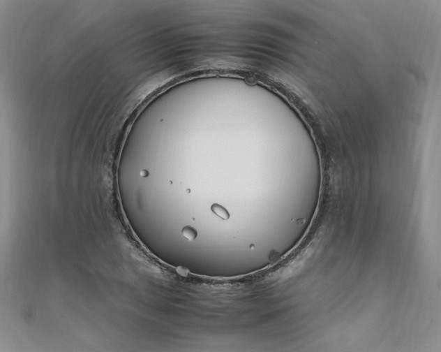 X0000108481025200904171606
