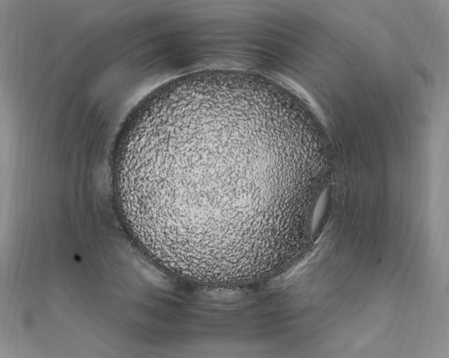 X0000108481027200904171606