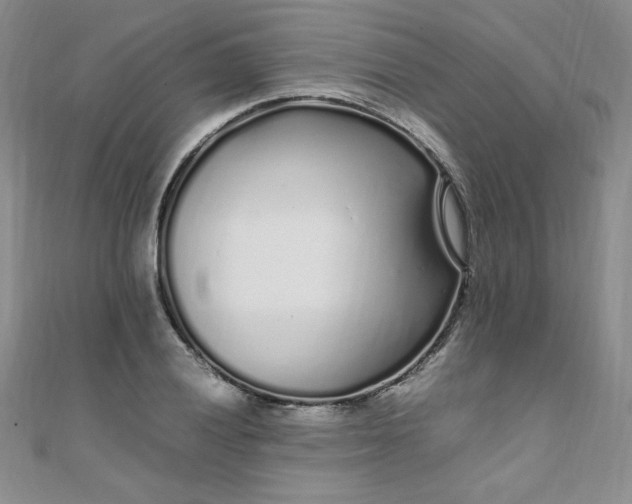 X0000108481028200904171606