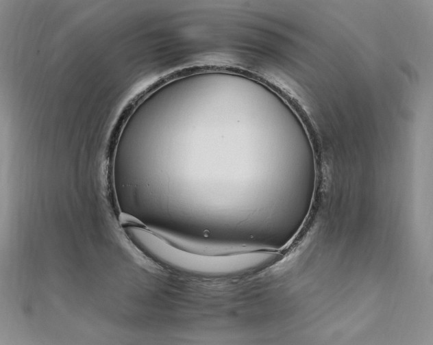 X0000108481029200904171606