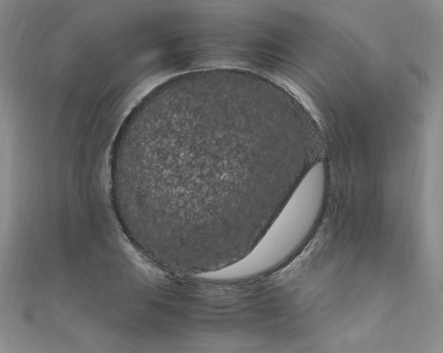 X0000108481031200904171606