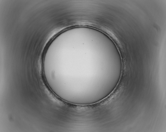 X0000108481032200904171606