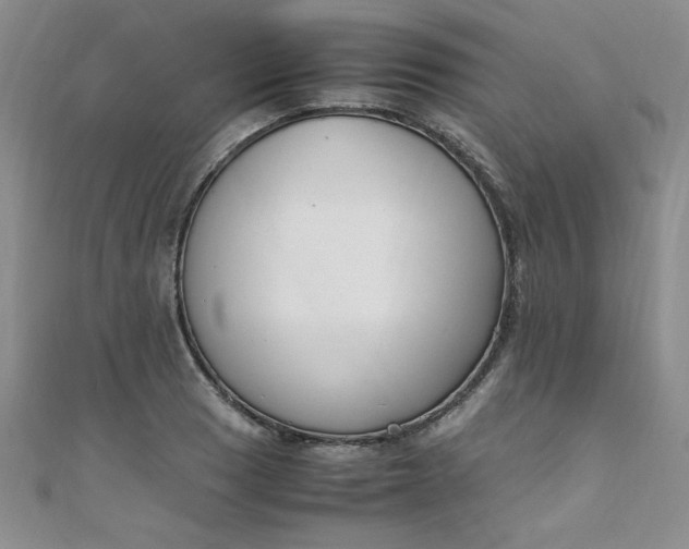 X0000108481033200904171606