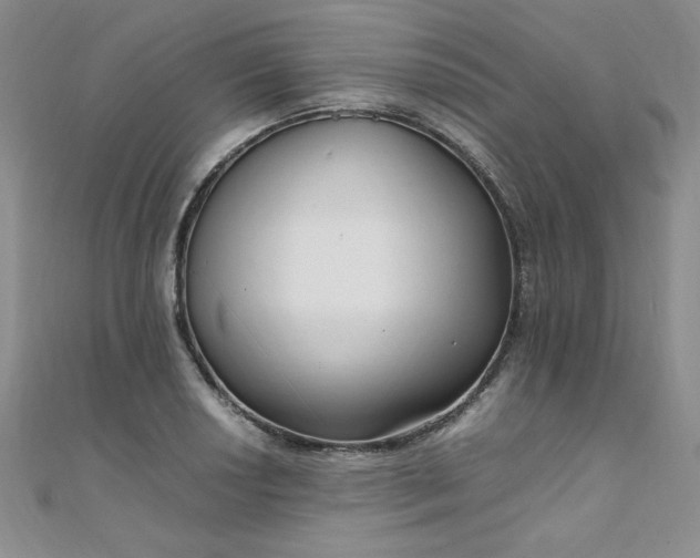 X0000108481034200904171606